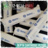 d_hytrex depth filter cartridge veolia medium.jpg
